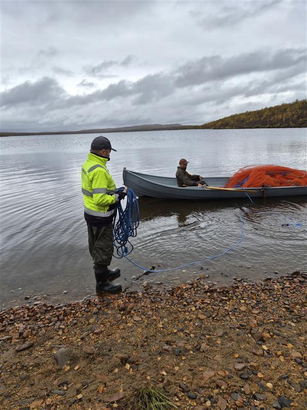Deaddil ja stuora govva ihtá