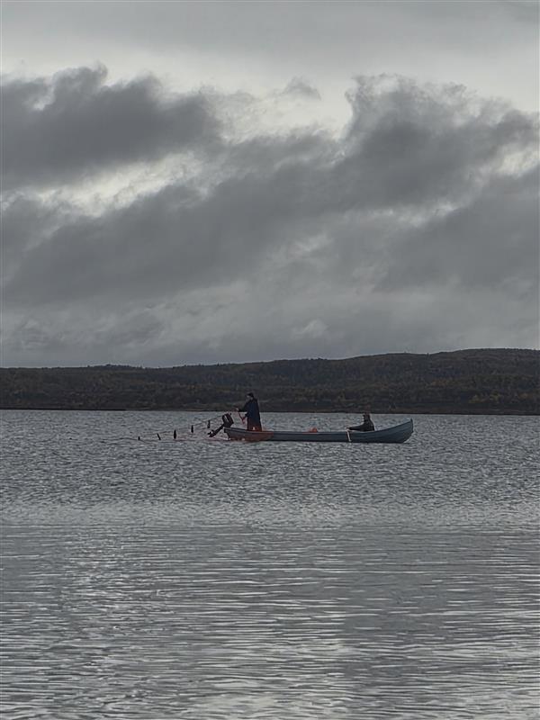 Deaddil ja stuora govva ihtá