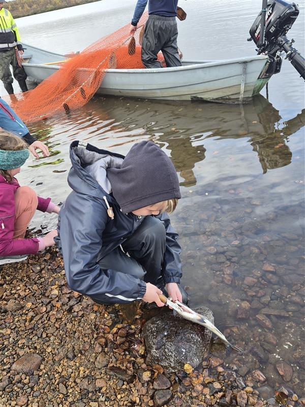 Deaddil ja stuora govva ihtá