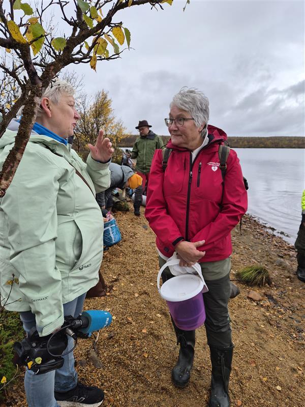 Deaddil ja stuora govva ihtá