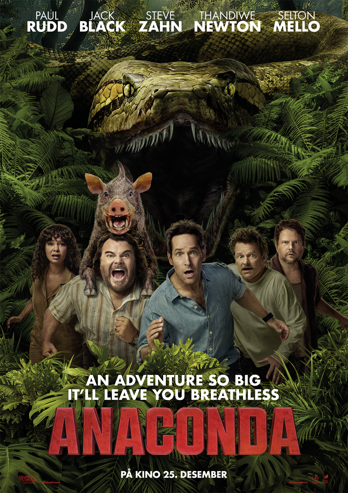 Kinoplakaten til komedien Anaconda viser Doug spilt av Jack Black og Griff spilt av Paul Rudd springende i jungelen med vennene sine. I bakgrunnen kan man se en stor Anaconda som jager dem. 