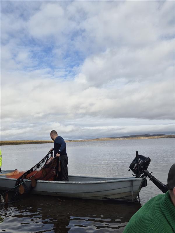 Deaddil ja stuora govva ihtá