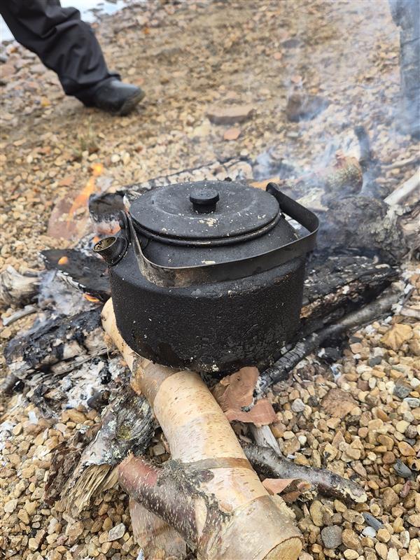 Deaddil ja stuora govva ihtá